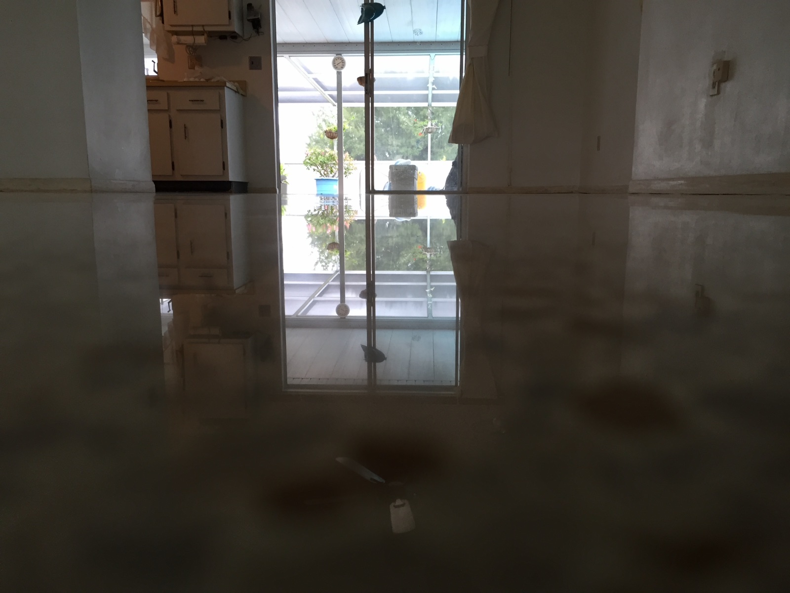Reflection on polished terrazzo looking out back door