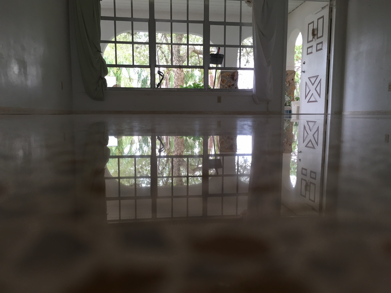 Polished terrazzo reflection looking out front window