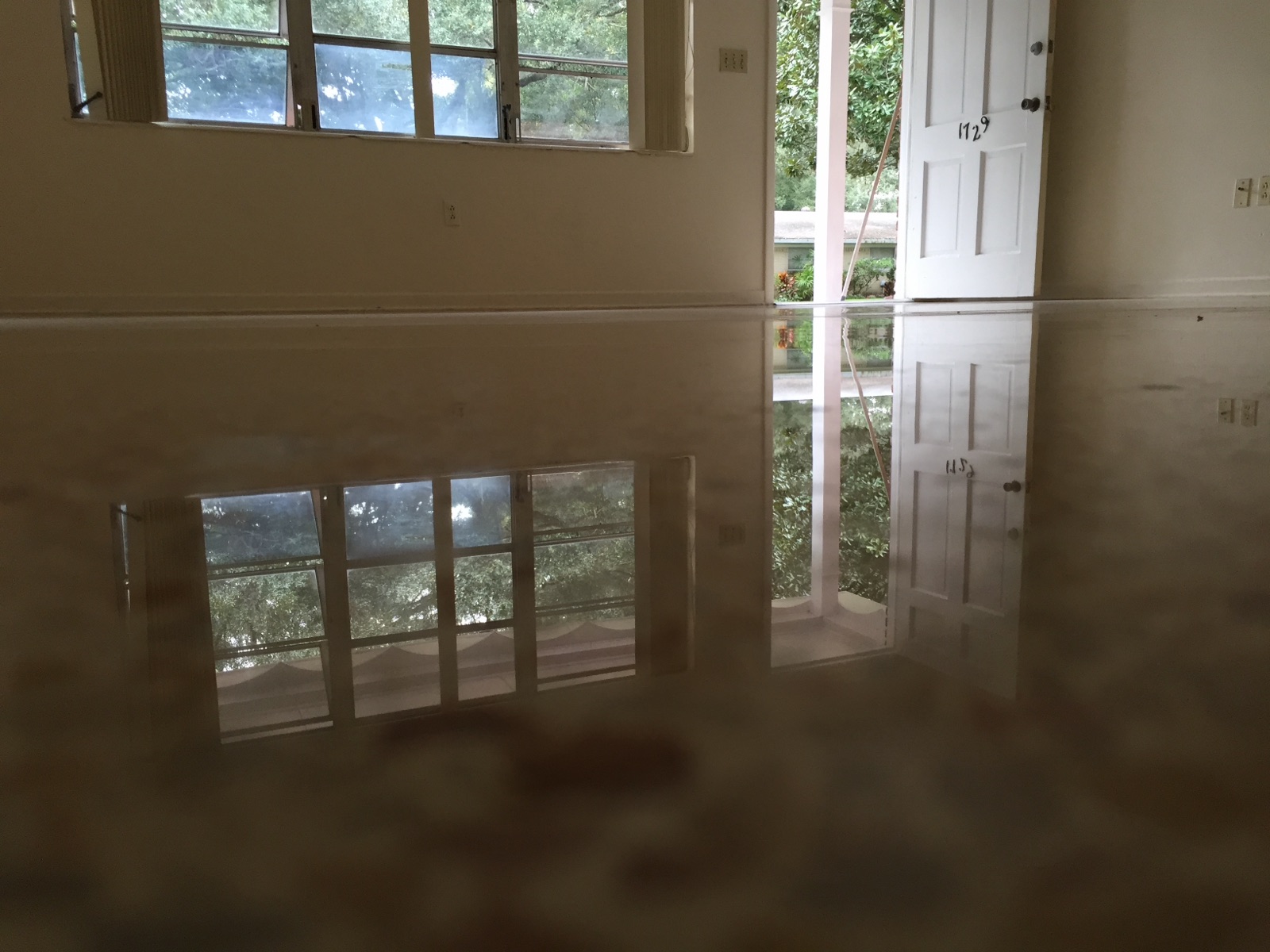 Terrazzo living room in Lakeland