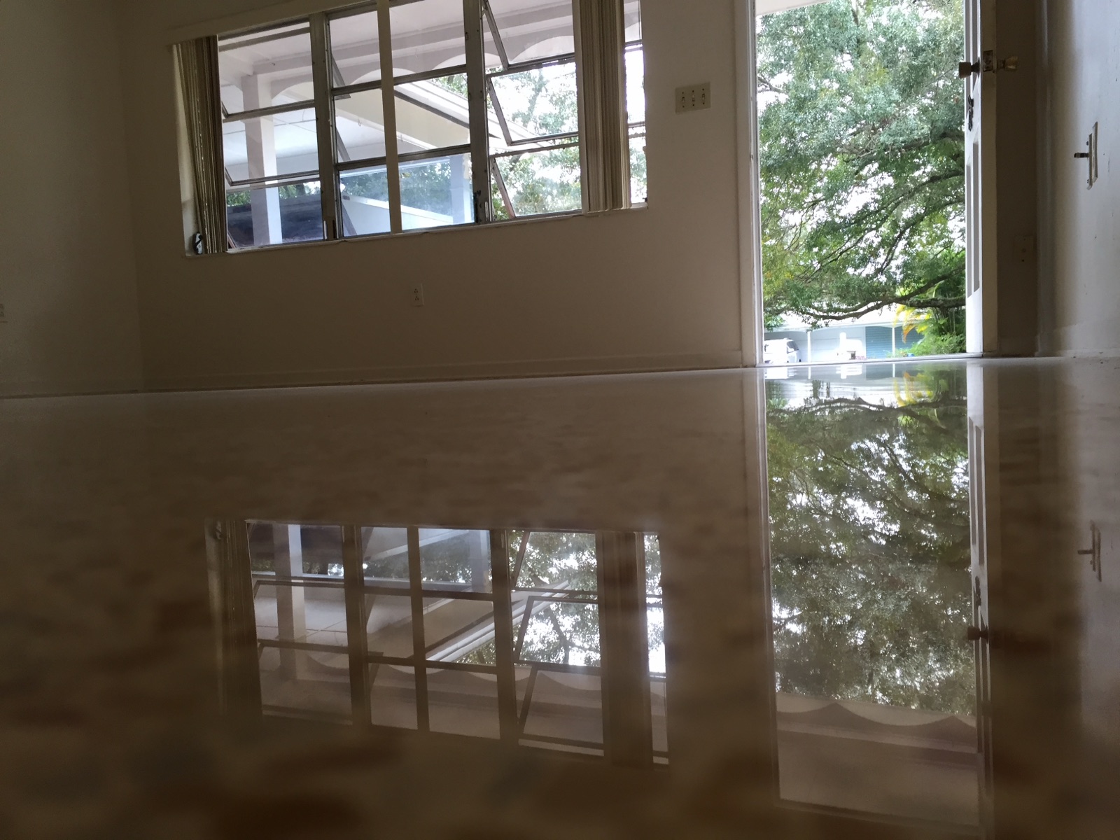 Terrazzo living room in Lakeland