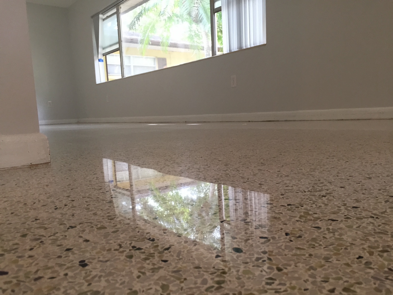 Terrazzo reflection out the window in Bradenton