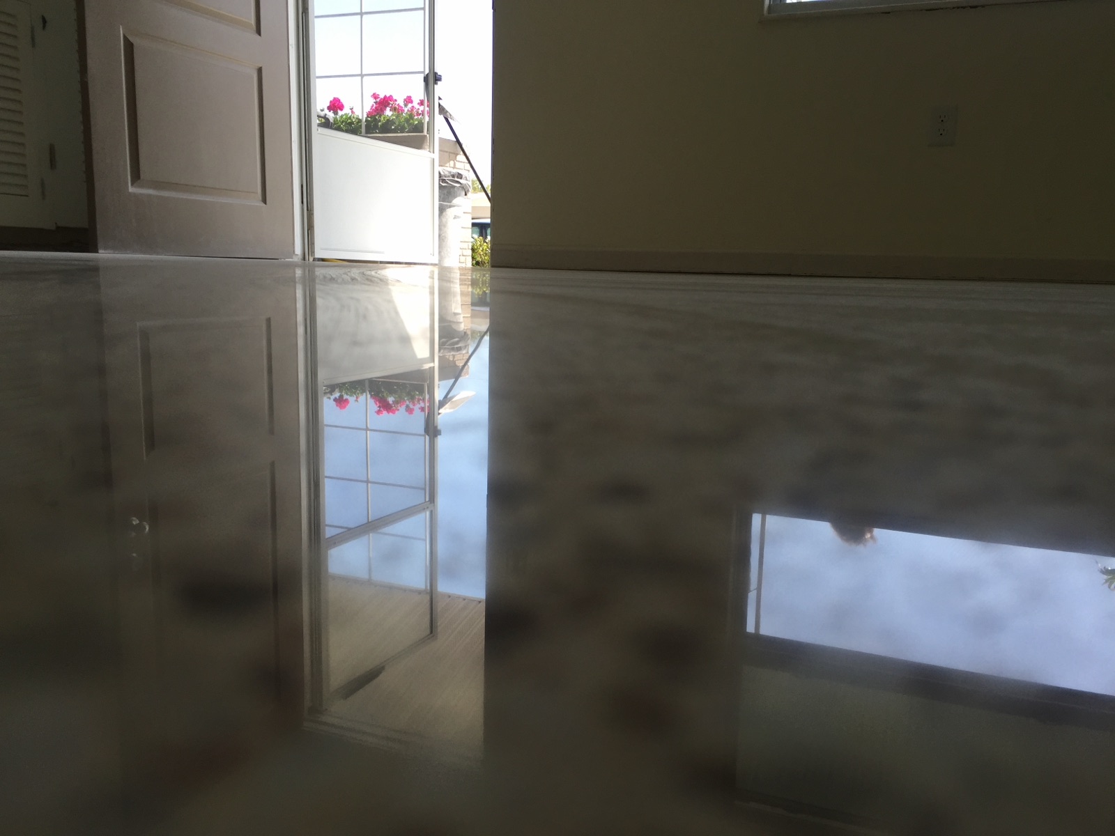 Polished terrazzo shine in Venice Gardens
