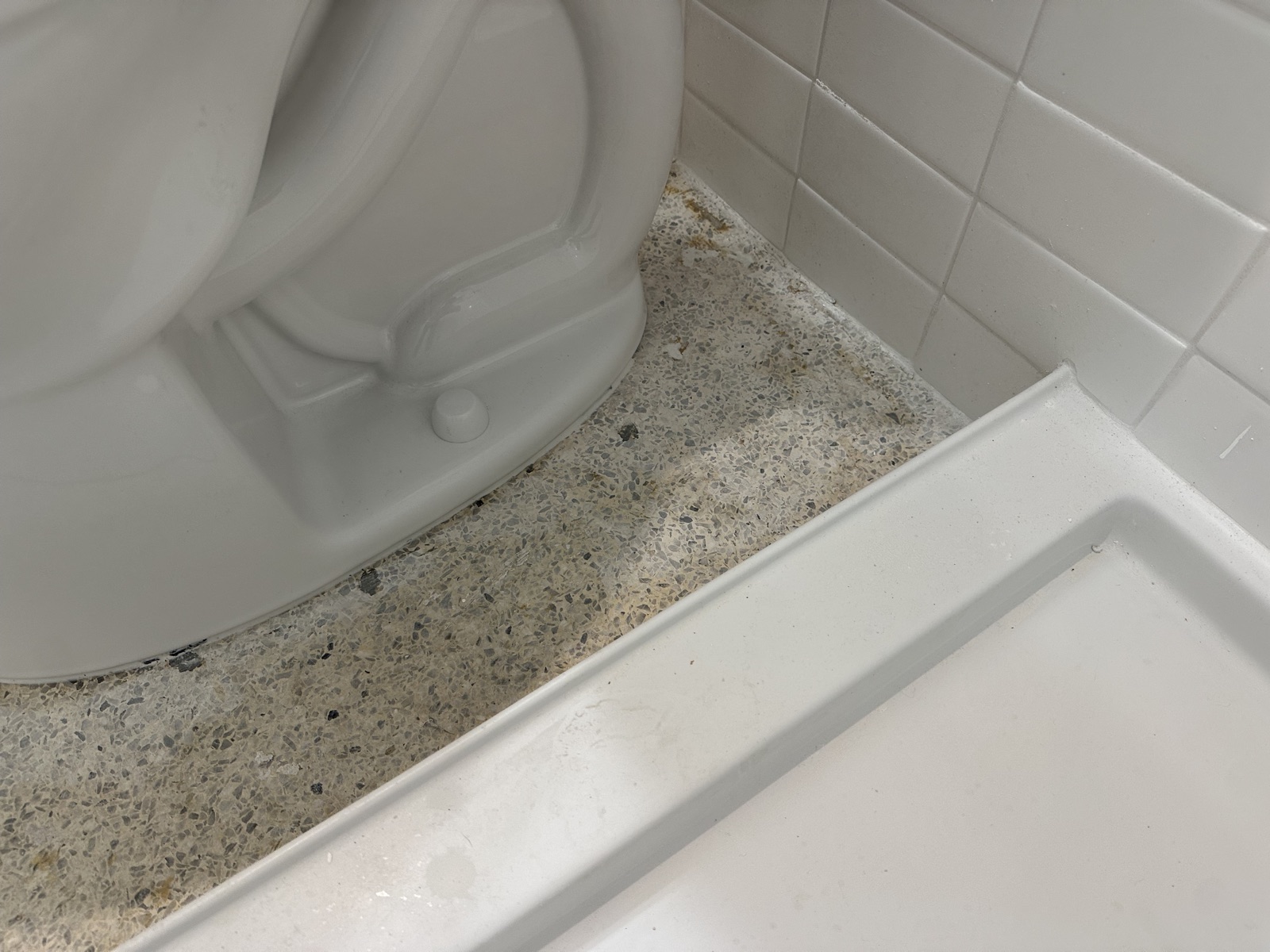 Close-up before the regrind of yellowed terrazzo between the toilet and the shower pan
