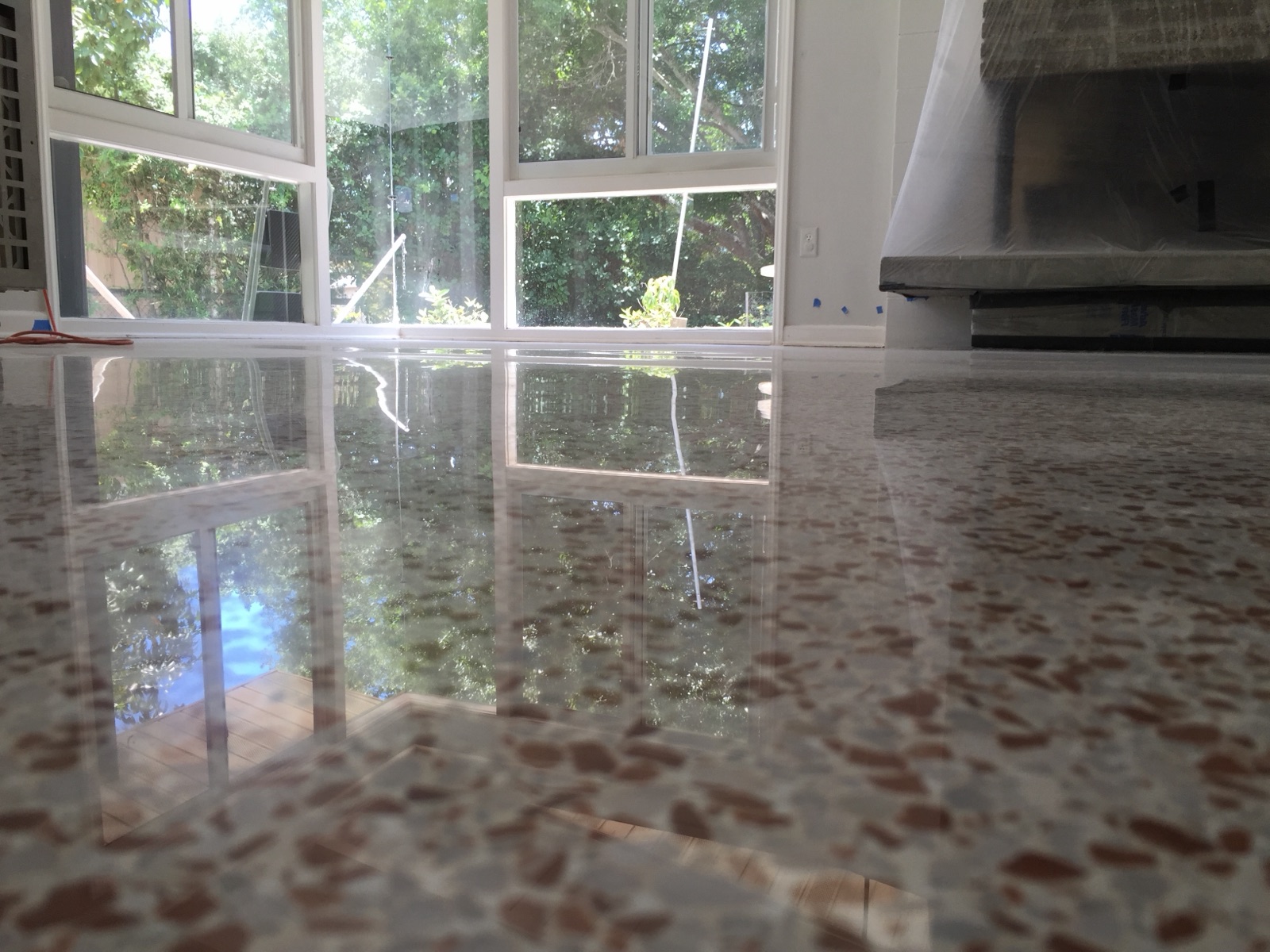 Sealed and burnished terrazzo with a reflection looking out a window.