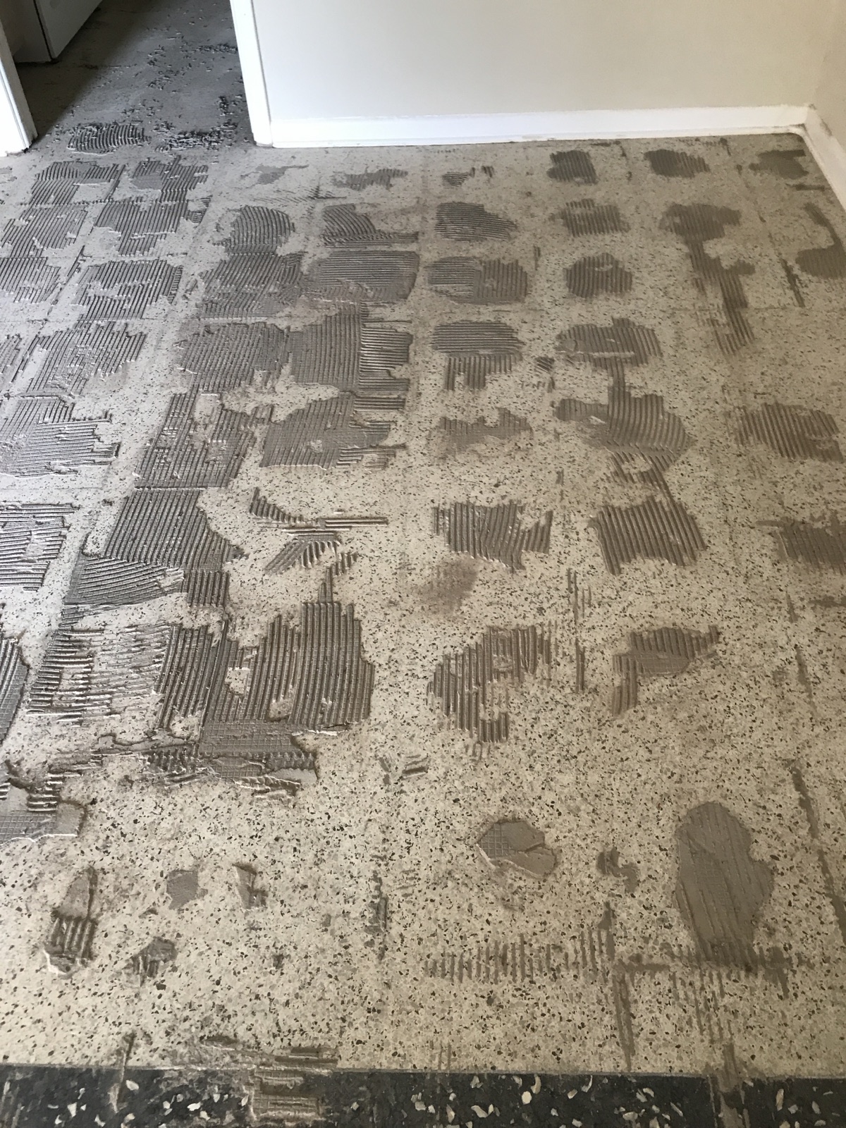 Terrazzo after tile has been removed with thinset still present.
